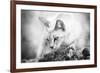 The Heart of a Lion-Jon Bertelli-Framed Photographic Print