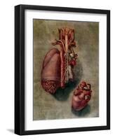 The Heart, Plate from Anatomy of the Visceras-Arnauld Eloi Gautier D'agoty-Framed Giclee Print