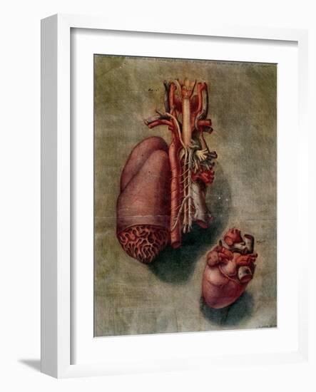 The Heart, Plate from Anatomy of the Visceras-Arnauld Eloi Gautier D'agoty-Framed Giclee Print