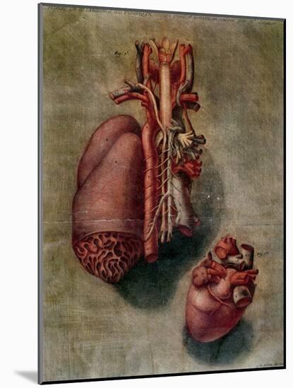 The Heart, Plate from Anatomy of the Visceras-Arnauld Eloi Gautier D'agoty-Mounted Giclee Print