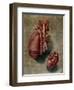 The Heart, Plate from Anatomy of the Visceras-Arnauld Eloi Gautier D'agoty-Framed Giclee Print