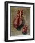 The Heart, Plate from Anatomy of the Visceras-Arnauld Eloi Gautier D'agoty-Framed Giclee Print