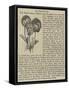 The Heart'S-Ease-null-Framed Stretched Canvas