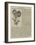 The Heart'S-Ease-null-Framed Giclee Print