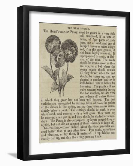 The Heart'S-Ease-null-Framed Giclee Print