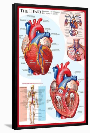 The Heart-null-Framed Poster