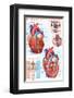 The Heart-null-Framed Premium Giclee Print