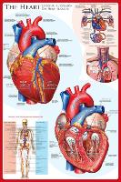 The Heart-null-Lamina Framed Poster