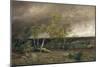 The Heath in a Storm, 1896-Valentin Ruths-Mounted Giclee Print