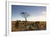 The Heathland of the New Forest at the End of a Winter's Day-Julian Elliott-Framed Photographic Print