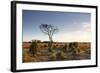 The Heathland of the New Forest at the End of a Winter's Day-Julian Elliott-Framed Photographic Print