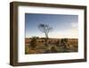 The Heathland of the New Forest at the End of a Winter's Day-Julian Elliott-Framed Photographic Print