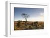 The Heathland of the New Forest at the End of a Winter's Day-Julian Elliott-Framed Photographic Print