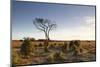 The Heathland of the New Forest at the End of a Winter's Day-Julian Elliott-Mounted Photographic Print