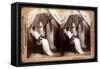 The Heavenly Twins, 1899-null-Framed Stretched Canvas