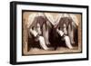 The Heavenly Twins, 1899-null-Framed Giclee Print