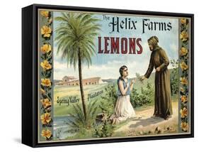 The Helix Farms Brand - California - Citrus Crate Label-Lantern Press-Framed Stretched Canvas