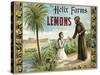 The Helix Farms Brand - California - Citrus Crate Label-Lantern Press-Stretched Canvas