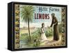 The Helix Farms Brand - California - Citrus Crate Label-Lantern Press-Framed Stretched Canvas