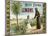 The Helix Farms Brand - California - Citrus Crate Label-Lantern Press-Mounted Art Print