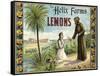 The Helix Farms Brand - California - Citrus Crate Label-Lantern Press-Framed Stretched Canvas