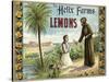 The Helix Farms Brand - California - Citrus Crate Label-Lantern Press-Stretched Canvas