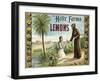 The Helix Farms Brand - California - Citrus Crate Label-Lantern Press-Framed Art Print