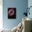 The Helix Nebula-Stocktrek Images-Photographic Print displayed on a wall