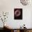 The Helix Nebula-Stocktrek Images-Photographic Print displayed on a wall