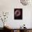 The Helix Nebula-Stocktrek Images-Mounted Photographic Print displayed on a wall