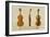 The Hellier Violin Made by Antonio Stradivarius-Alfred James Hipkins-Framed Giclee Print