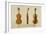 The Hellier Violin Made by Antonio Stradivarius-Alfred James Hipkins-Framed Giclee Print