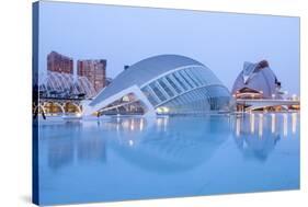 The Hemsiferic and El Palau De Les Arts Reina Sofia in the City of Arts and Sciences, Valencia-Julian Elliott-Stretched Canvas