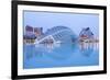 The Hemsiferic and El Palau De Les Arts Reina Sofia in the City of Arts and Sciences, Valencia-Julian Elliott-Framed Photographic Print