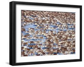 The Herd-Peter Lilja-Framed Photographic Print