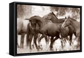 The Herd-Lisa Dearing-Framed Stretched Canvas