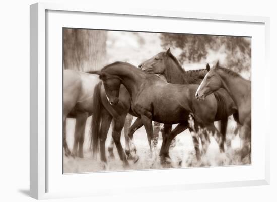 The Herd-Lisa Dearing-Framed Photographic Print