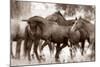 The Herd-Lisa Dearing-Mounted Photographic Print