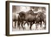 The Herd-Lisa Dearing-Framed Photographic Print