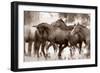 The Herd-Lisa Dearing-Framed Photographic Print