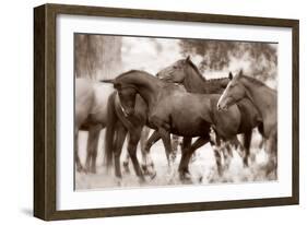 The Herd-Lisa Dearing-Framed Photographic Print