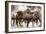 The Herd-Lisa Dearing-Framed Photographic Print