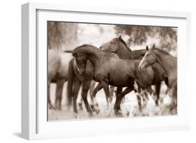 The Herd-Lisa Dearing-Framed Photographic Print