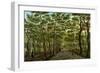 The Herepad in the Hague Forest-Paulus Constantijn la Fargue-Framed Art Print