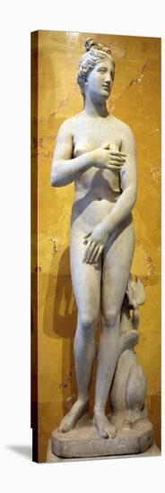 The 'Heritage' Venus, Italian, 19th Century-null-Stretched Canvas