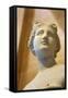The 'Heritage' Venus, Italian, 19th Century-null-Framed Stretched Canvas