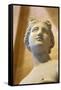 The 'Heritage' Venus, Italian, 19th Century-null-Framed Stretched Canvas