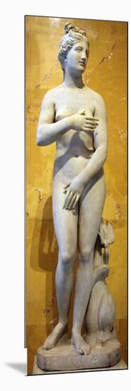 The 'Heritage' Venus, Italian, 19th Century-null-Mounted Photographic Print