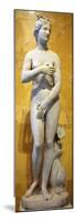 The 'Heritage' Venus, Italian, 19th Century-null-Mounted Photographic Print