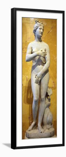The 'Heritage' Venus, Italian, 19th Century-null-Framed Photographic Print